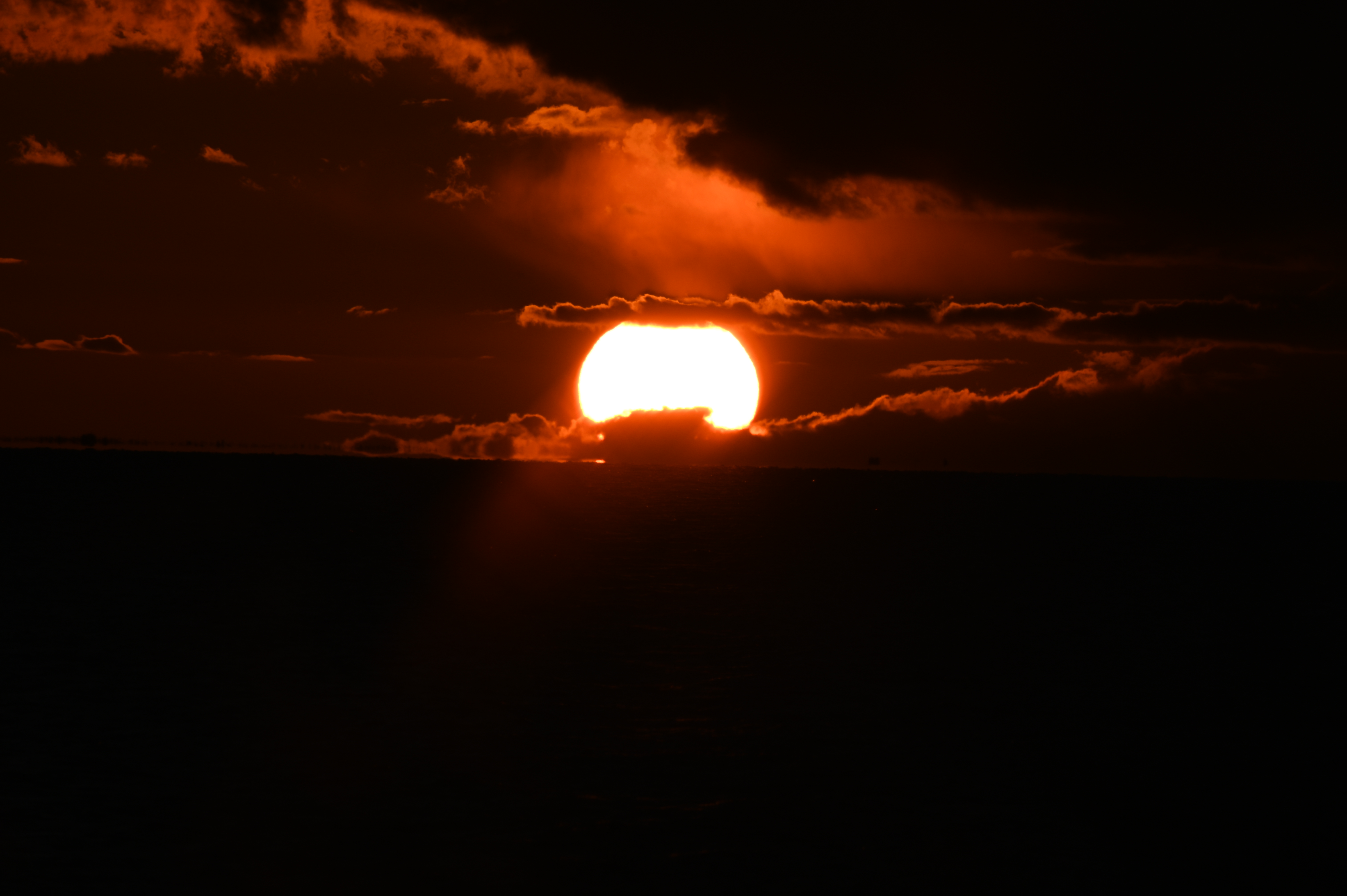 2025/10/18 - walk/DSC_0465.JPG